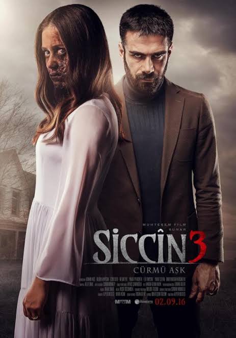 Siccin 3 2016